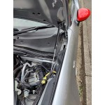 Bonnet Support Struts