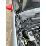 Bonnet Support Struts