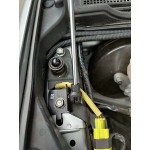 Bonnet Support Struts