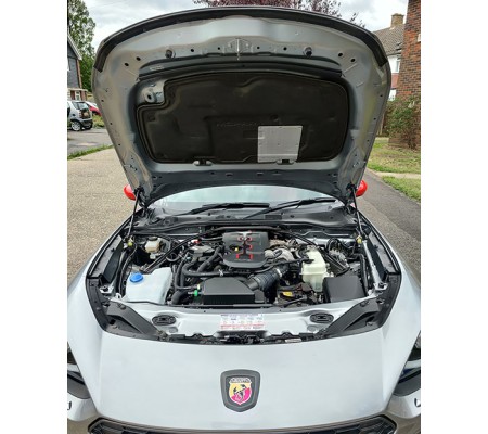Bonnet Support Struts