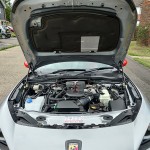 Bonnet Support Struts (pair)